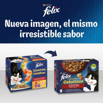 Felix Sensations sobres en Gelatina de Salmón con Gambas y Trucha